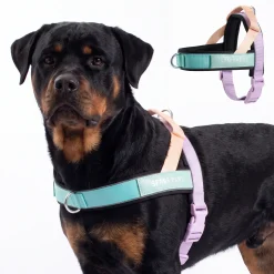 Grab & Go Harness - Cyber Punk