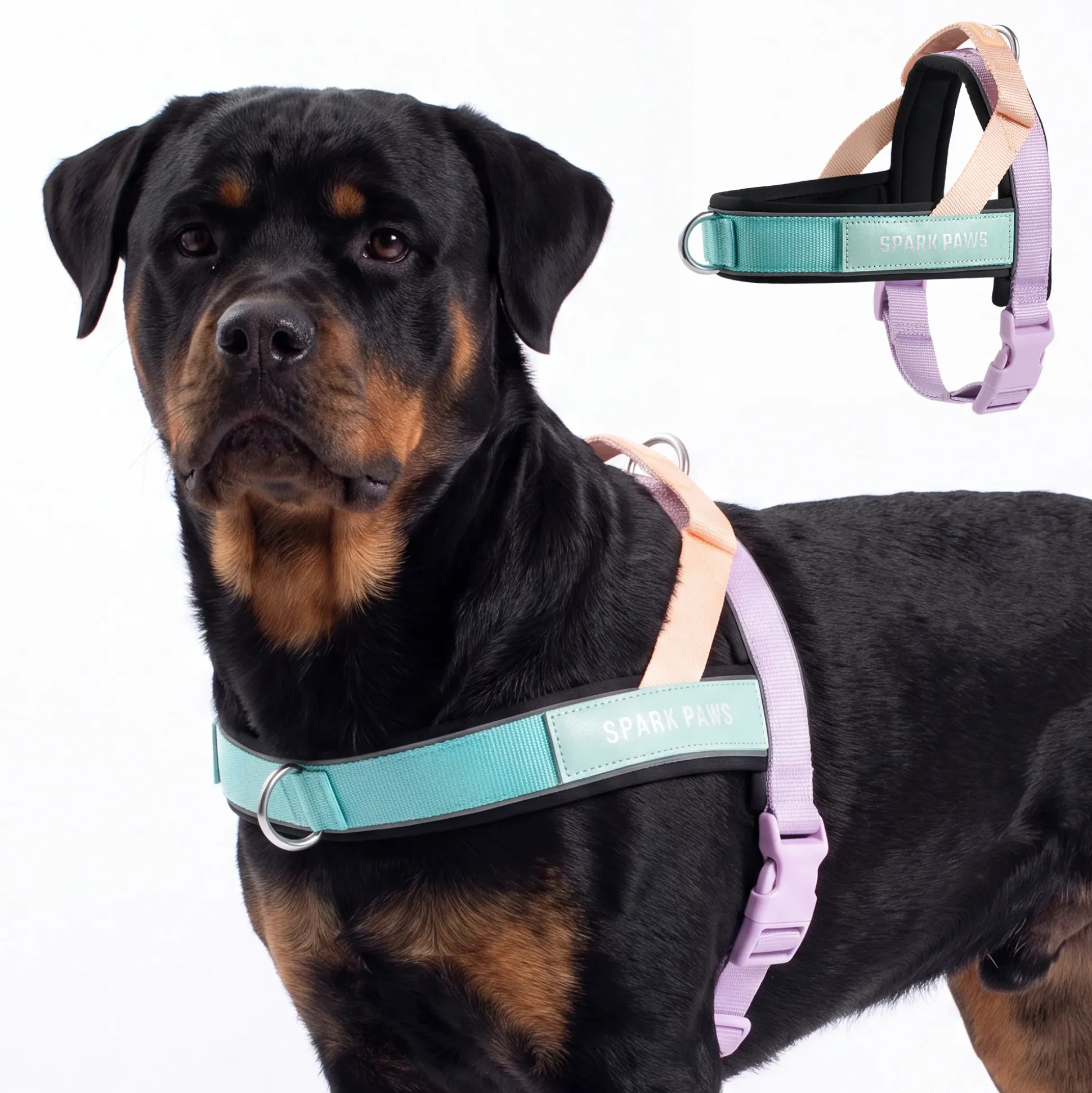 Grab & Go Harness - Cyber Punk