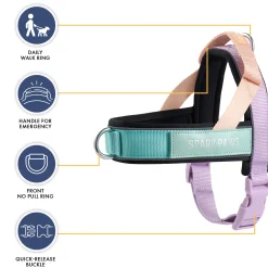 Grab & Go Harness - Cyber Punk