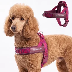 Grab & Go Harness - Fuchsia Camo
