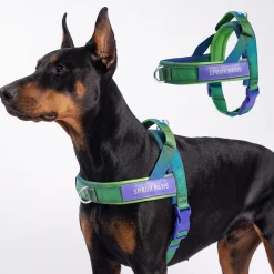 Grab & Go Harness - Lime Wave