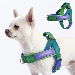 Grab & Go Harness - Lime Wave