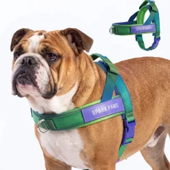 Grab & Go Harness - Lime Wave