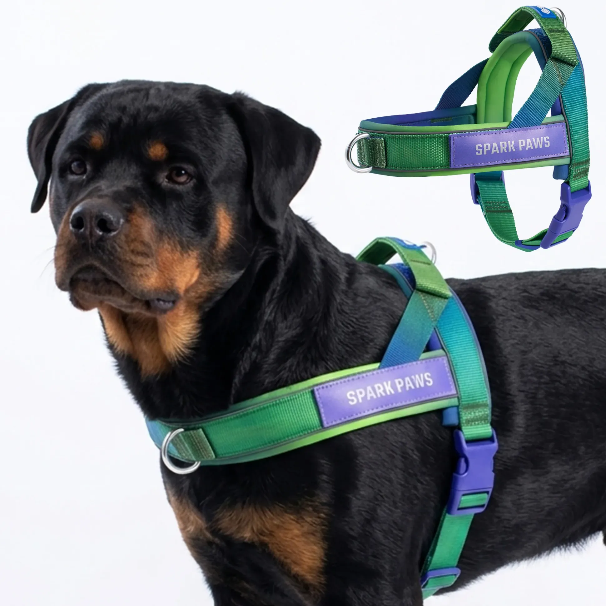 Grab & Go Harness - Lime Wave