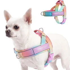 Grab & Go Harness - Pastel Icing