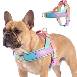 Grab & Go Harness - Pastel Icing