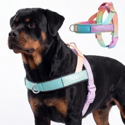 Grab & Go Harness - Pastel Icing