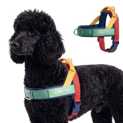 Grab & Go Harness - Primary