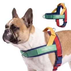 Grab & Go Harness - Primary
