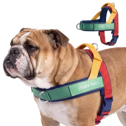 Grab & Go Harness - Primary