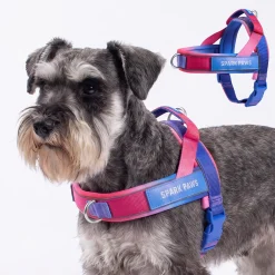 Grab & Go Harness - Snow Cone