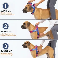 Grab & Go Harness - Snow Cone