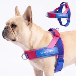 Grab & Go Harness - Snow Cone