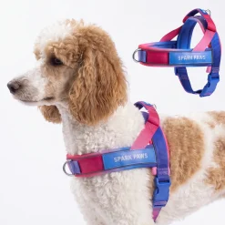 Grab & Go Harness - Snow Cone