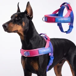 Grab & Go Harness - Snow Cone