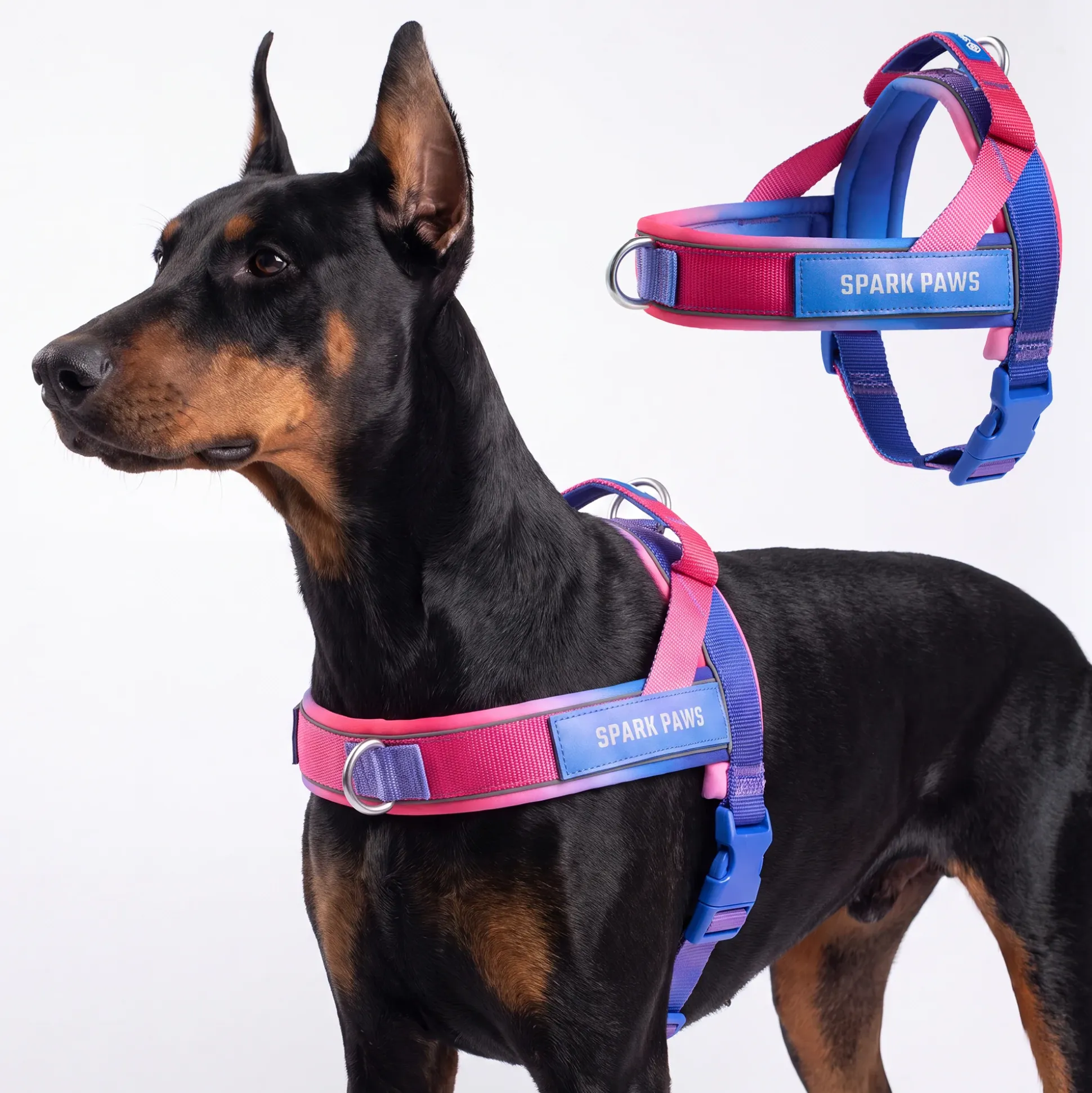 Grab & Go Harness - Snow Cone