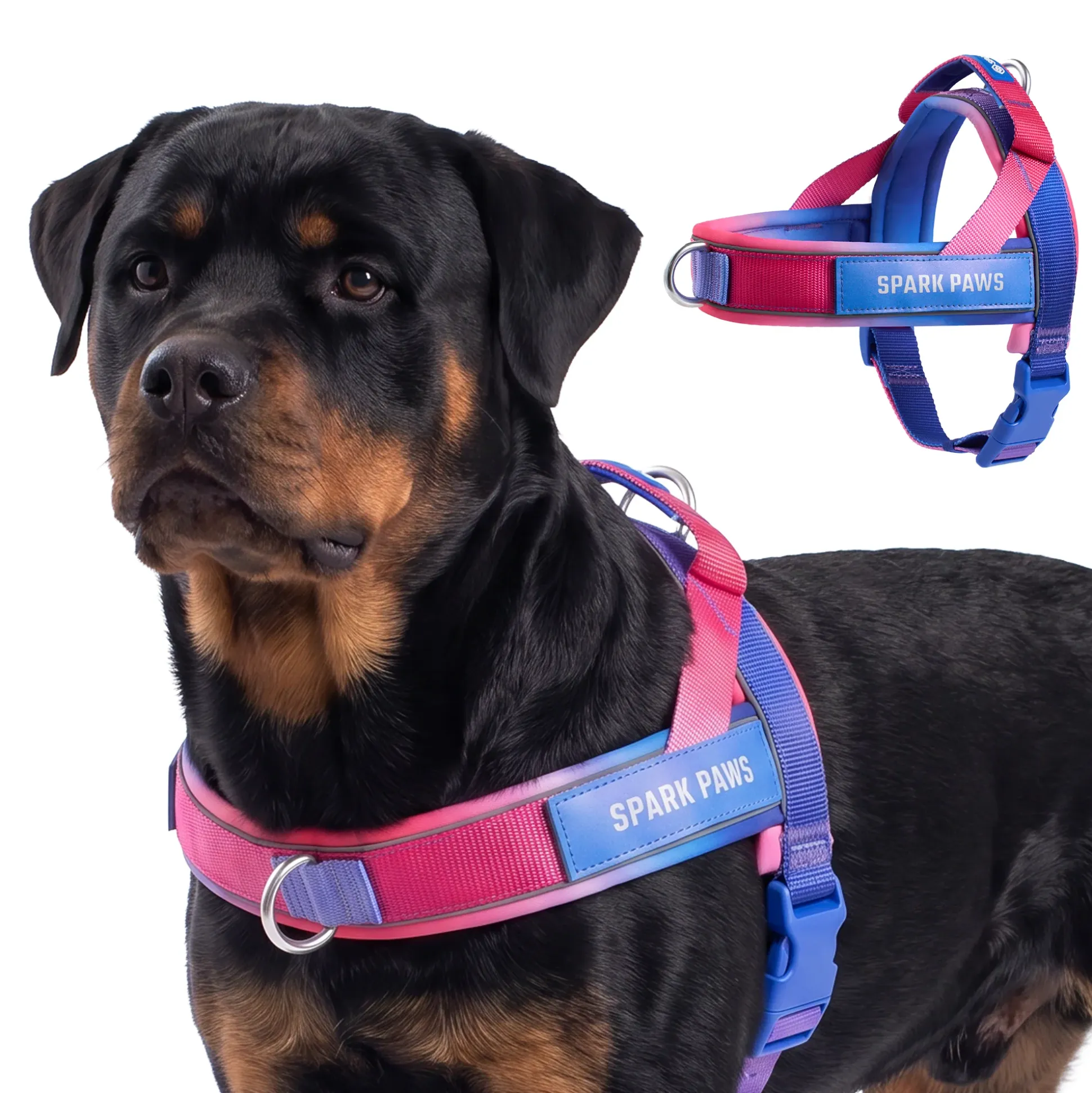 Grab & Go Harness - Snow Cone