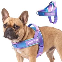 Grab & Go Harness - 90s Retro