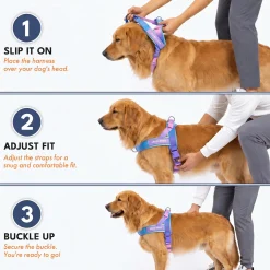 Grab & Go Harness - 90s Retro