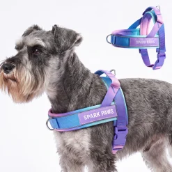 Grab & Go Harness - 90s Retro