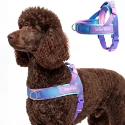 Grab & Go Harness - 90s Retro