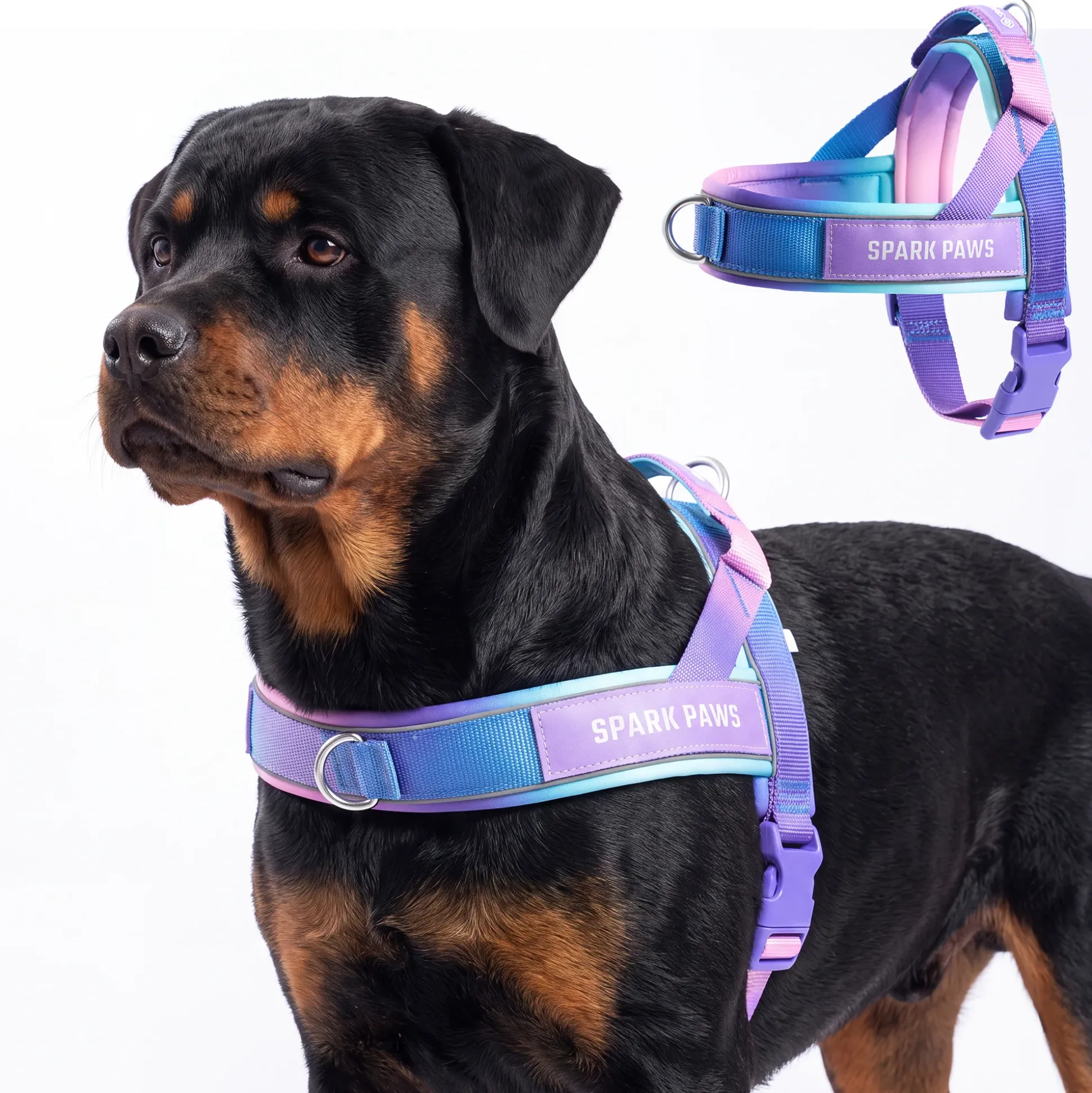 Grab & Go Harness - 90s Retro