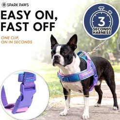 Grab & Go Harness - 90s Retro
