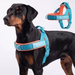 Grab & Go Harness - Teal & Apricot