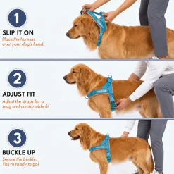 Grab & Go Harness - Teal & Apricot