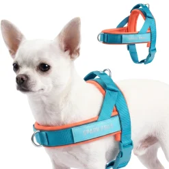 Grab & Go Harness - Teal & Apricot