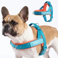 Grab & Go Harness - Teal & Apricot