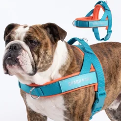 Grab & Go Harness - Teal & Apricot