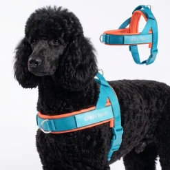 Grab & Go Harness - Teal & Apricot