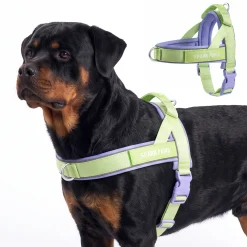 Grab & Go Harness - Violet Lime