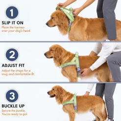 Grab & Go Harness - Violet Lime