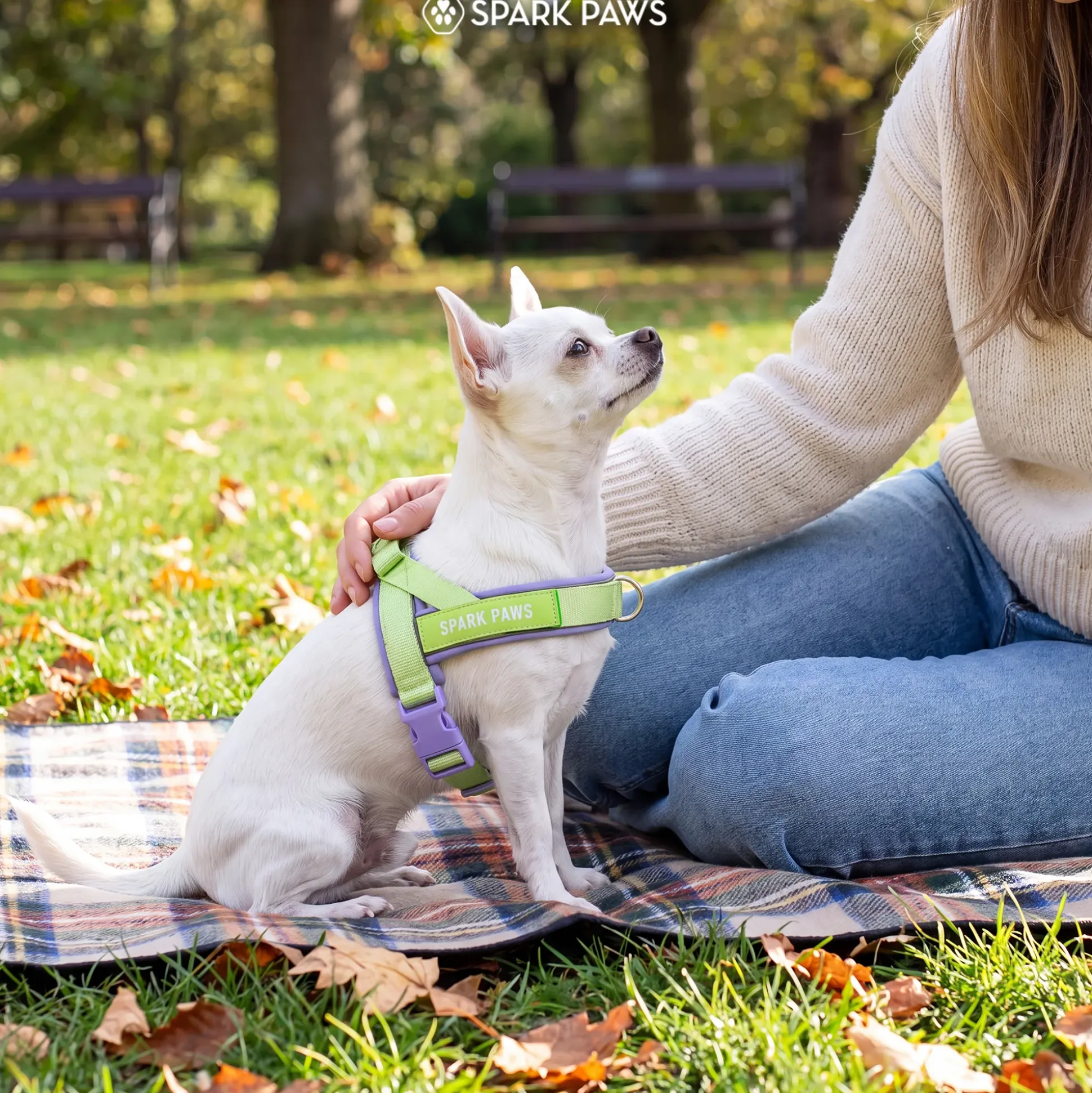 Grab & Go Harness - Violet Lime