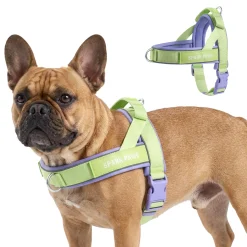 Grab & Go Harness - Violet Lime