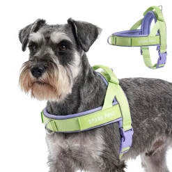 Grab & Go Harness - Violet Lime