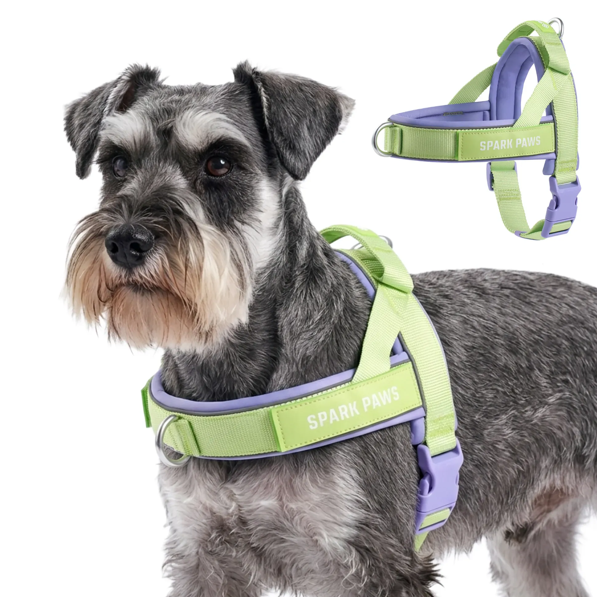 Grab & Go Harness - Violet Lime