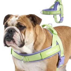 Grab & Go Harness - Violet Lime