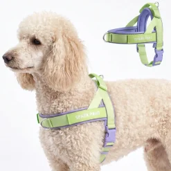 Grab & Go Harness - Violet Lime