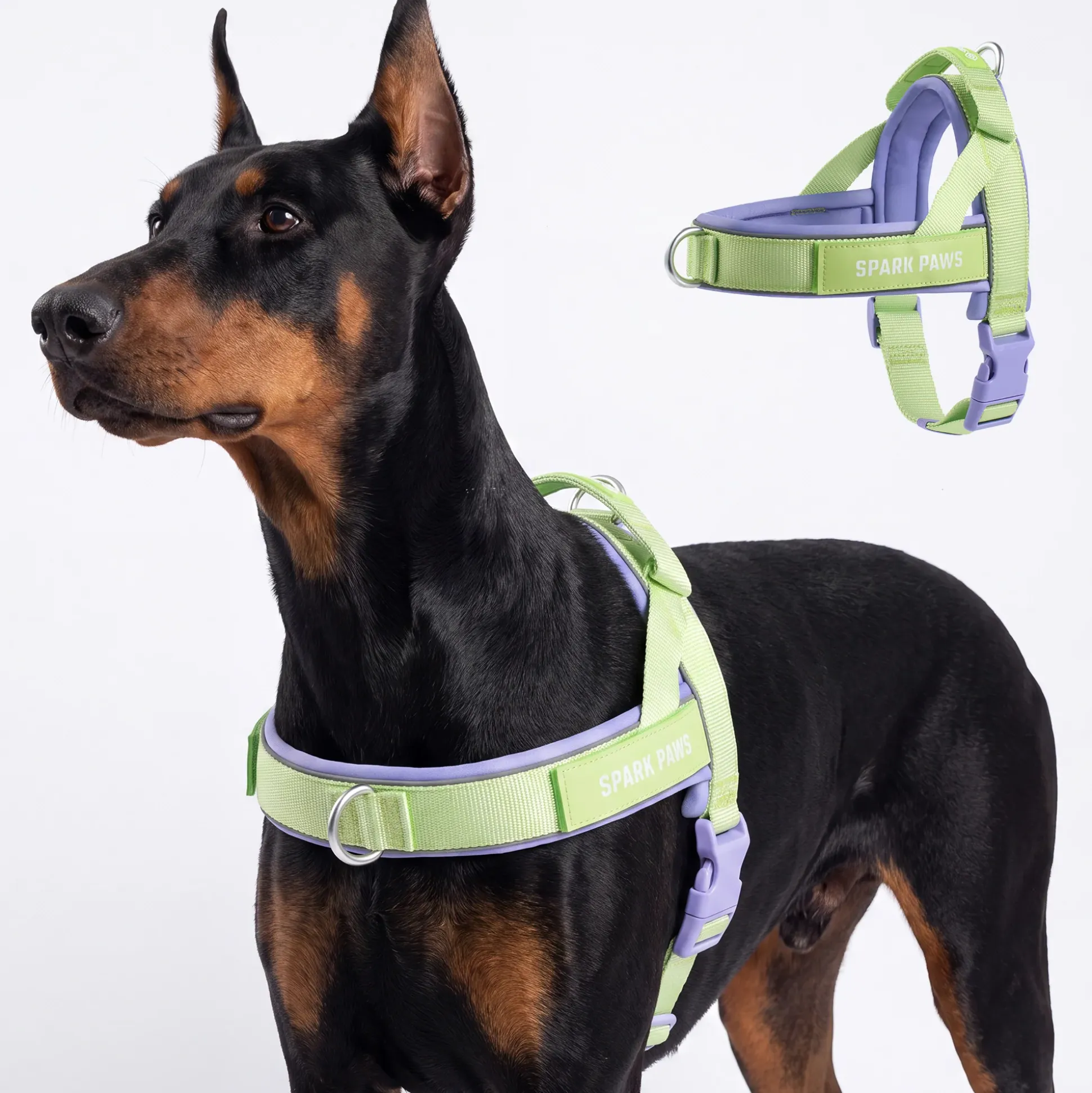 Grab & Go Harness - Violet Lime