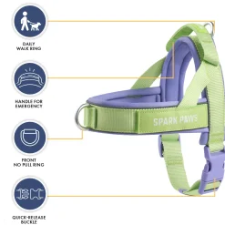 Grab & Go Harness - Violet Lime