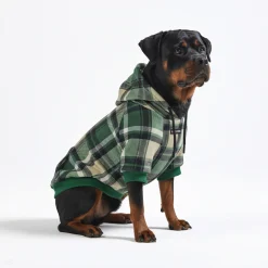 Green Plaid Dog Hoodie