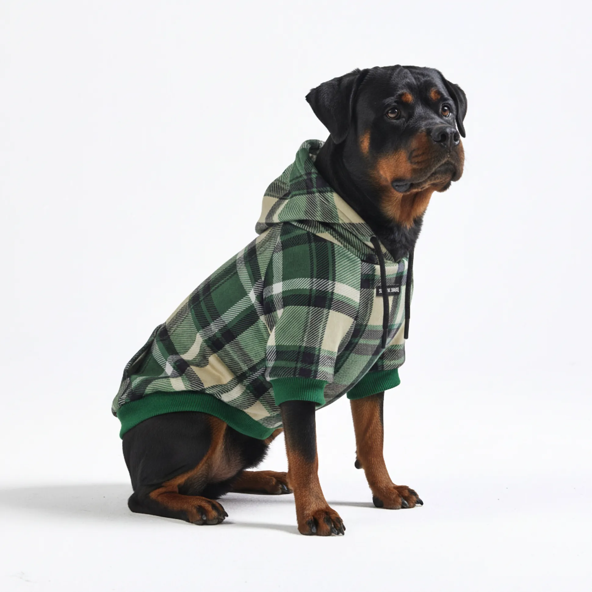 Green Plaid Dog Hoodie