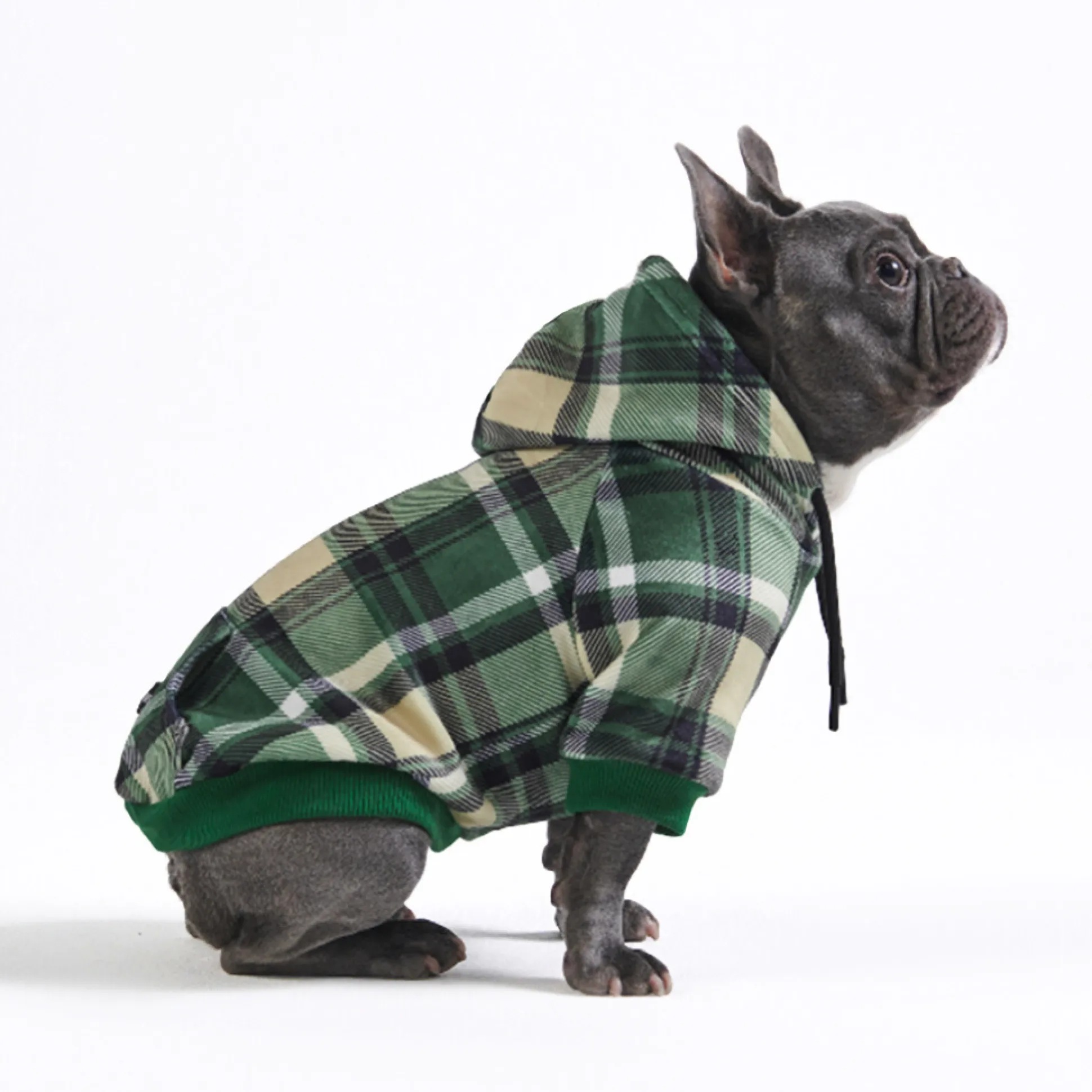 Green Plaid Dog Hoodie