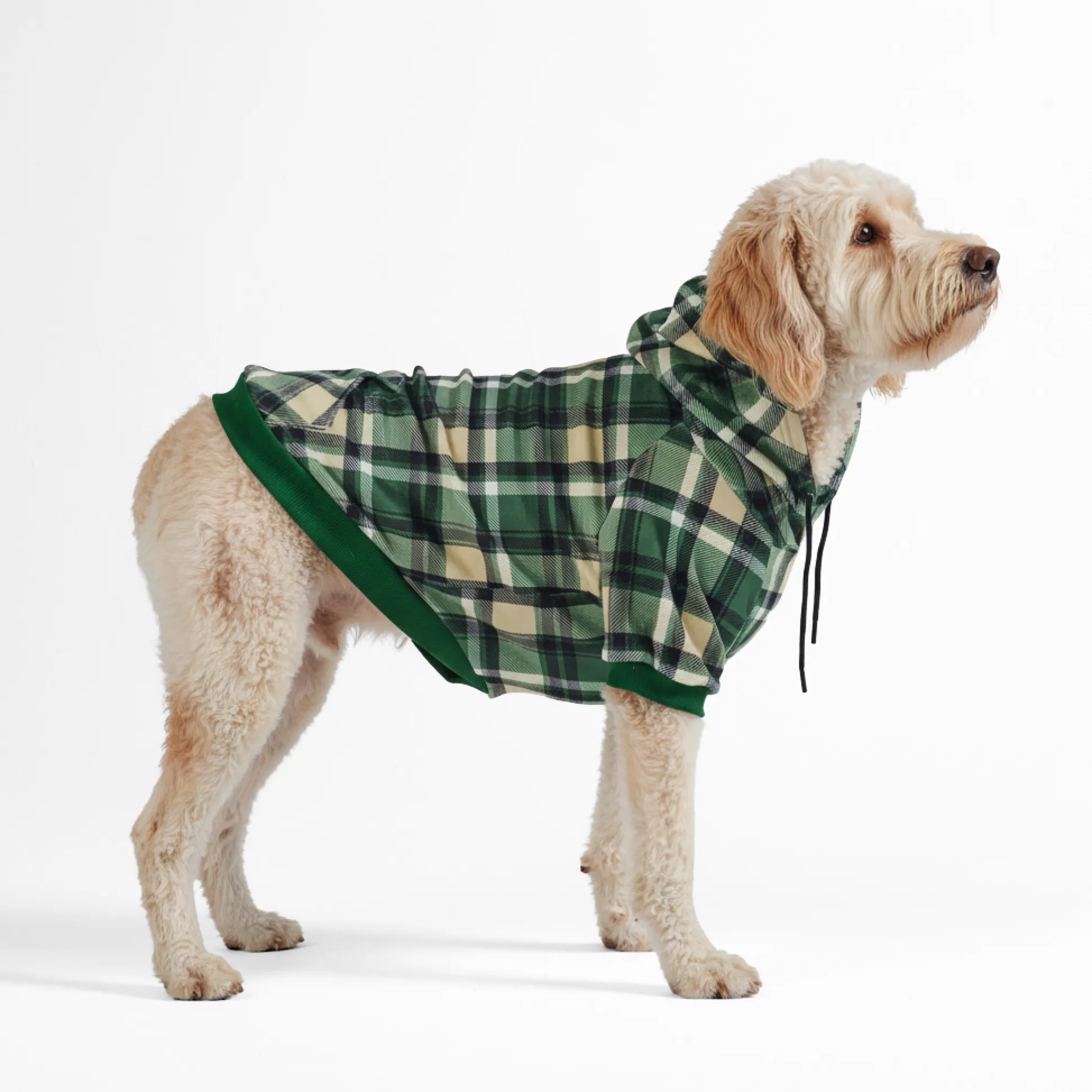 Green Plaid Dog Hoodie