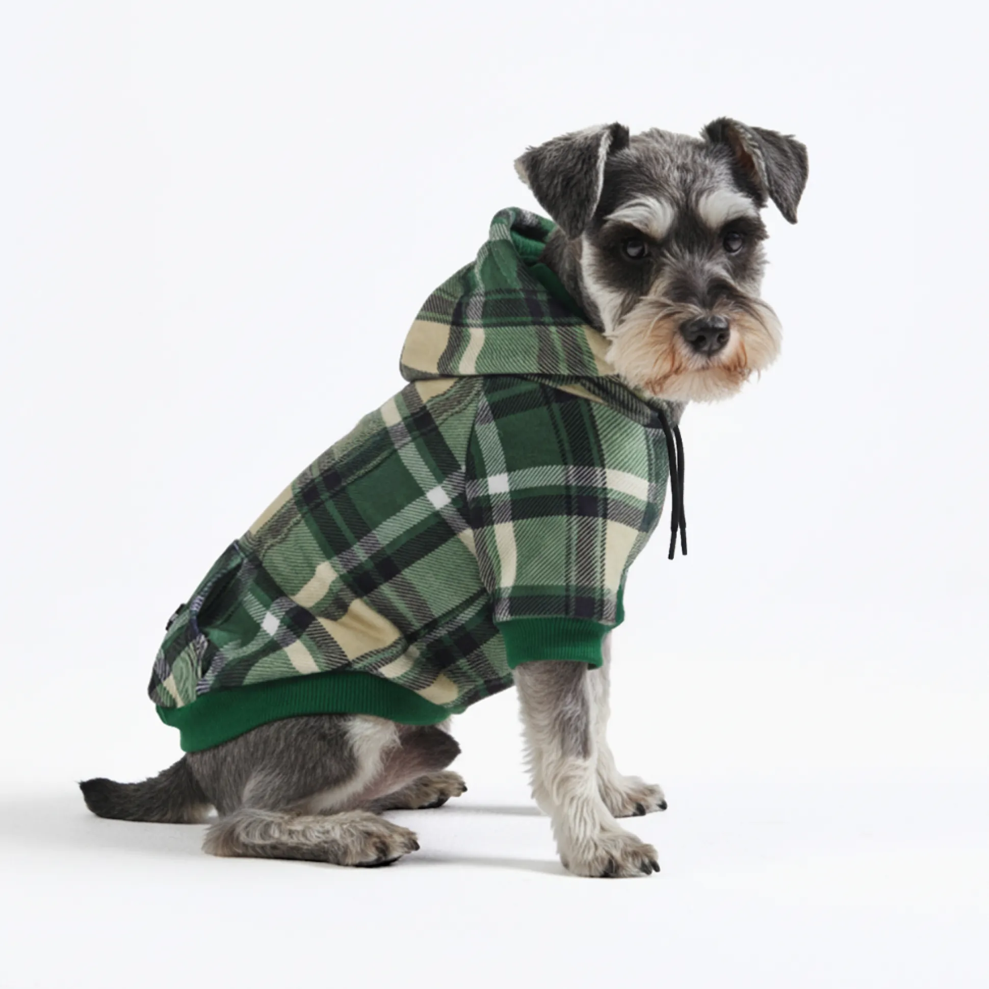 Green Plaid Dog Hoodie