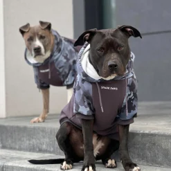 Grey Camo Dog Hoodie