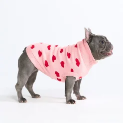 Hearts Knit Dog Sweater